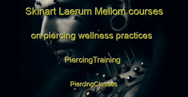 Skinart Laerum Mellom courses on piercing wellness practices | #PiercingTraining #PiercingClasses #SkinartTraining-Norway