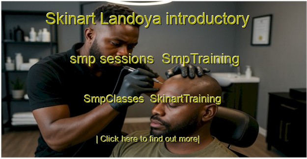 Skinart Landoya introductory smp sessions | SmpTraining | SmpClasses | SkinartTraining-Norway