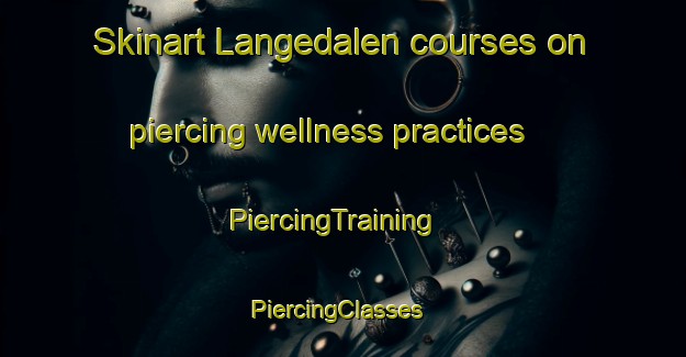 Skinart Langedalen courses on piercing wellness practices | PiercingTraining | PiercingClasses | SkinartTraining-Norway
