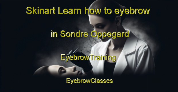 Skinart Learn how to eyebrow in Sondre Oppegard | EyebrowTraining | EyebrowClasses | SkinartTraining-Norway