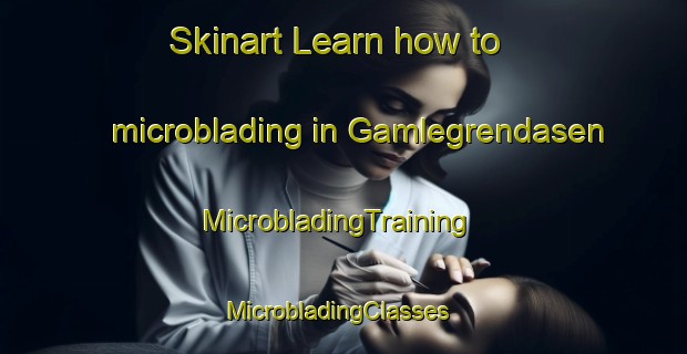 Skinart Learn how to microblading in Gamlegrendasen | MicrobladingTraining | MicrobladingClasses | SkinartTraining-Norway