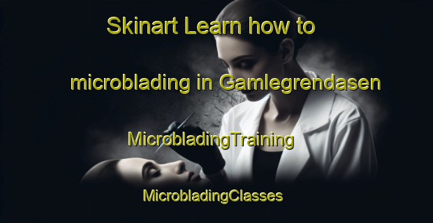 Skinart Learn how to microblading in Gamlegrendasen | MicrobladingTraining | MicrobladingClasses | SkinartTraining-Norway