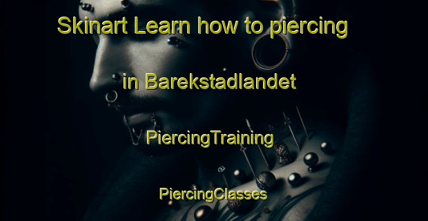 Skinart Learn how to piercing in Barekstadlandet | #PiercingTraining #PiercingClasses #SkinartTraining-Norway