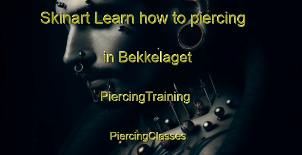 Skinart Learn how to piercing in Bekkelaget | PiercingTraining | PiercingClasses | SkinartTraining-Norway
