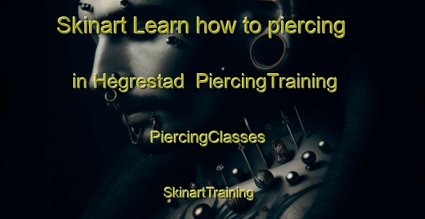 Skinart Learn how to piercing in Hegrestad | PiercingTraining | PiercingClasses | SkinartTraining-Norway