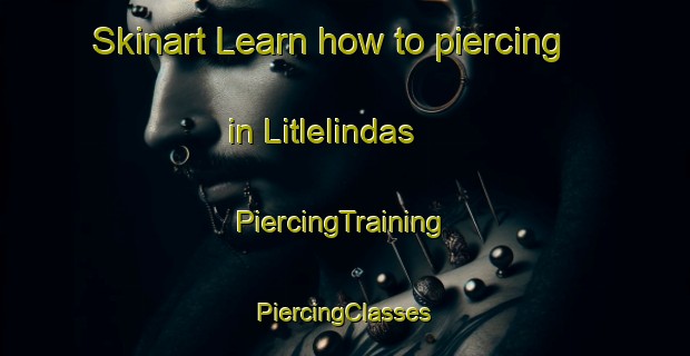 Skinart Learn how to piercing in Litlelindas | #PiercingTraining #PiercingClasses #SkinartTraining-Norway