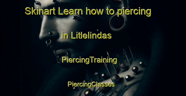 Skinart Learn how to piercing in Litlelindas | PiercingTraining | PiercingClasses | SkinartTraining-Norway