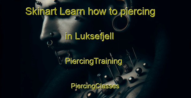 Skinart Learn how to piercing in Luksefjell | #PiercingTraining #PiercingClasses #SkinartTraining-Norway