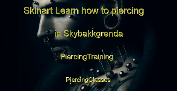 Skinart Learn how to piercing in Skybakkgrenda | #PiercingTraining #PiercingClasses #SkinartTraining-Norway