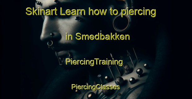 Skinart Learn how to piercing in Smedbakken | #PiercingTraining #PiercingClasses #SkinartTraining-Norway