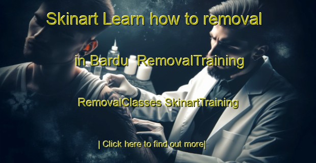 Skinart Learn how to removal in Bardu | #RemovalTraining #RemovalClasses #SkinartTraining-Norway