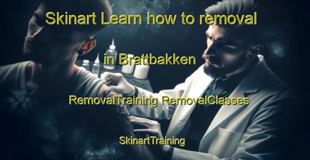 Skinart Learn how to removal in Brattbakken | #RemovalTraining #RemovalClasses #SkinartTraining-Norway