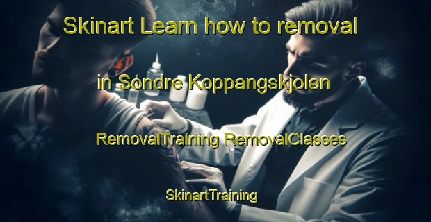 Skinart Learn how to removal in Sondre Koppangskjolen | #RemovalTraining #RemovalClasses #SkinartTraining-Norway