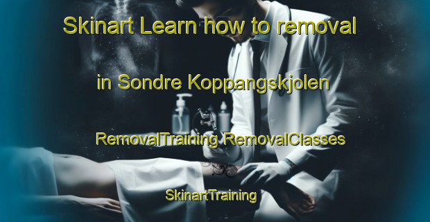 Skinart Learn how to removal in Sondre Koppangskjolen | #RemovalTraining #RemovalClasses #SkinartTraining-Norway