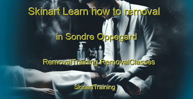 Skinart Learn how to removal in Sondre Oppegard | #RemovalTraining #RemovalClasses #SkinartTraining-Norway