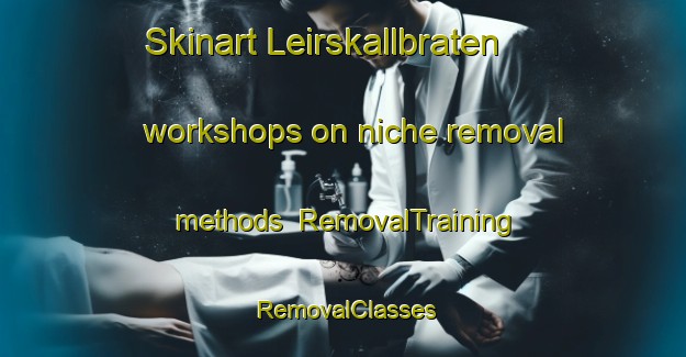 Skinart Leirskallbraten workshops on niche removal methods | RemovalTraining | RemovalClasses | SkinartTraining-Norway