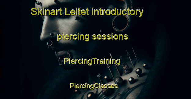 Skinart Leitet introductory piercing sessions | PiercingTraining | PiercingClasses | SkinartTraining-Norway