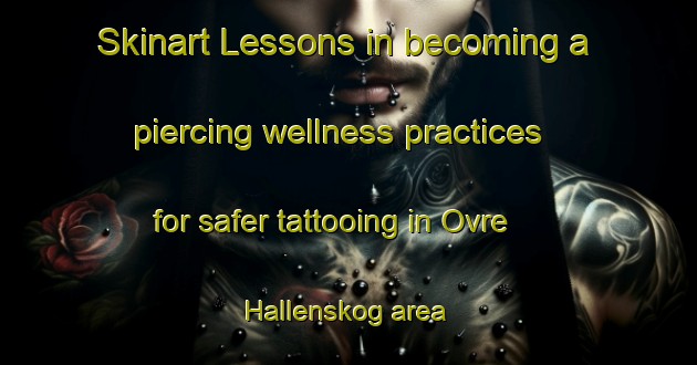 Skinart Lessons in becoming a piercing wellness practices for safer tattooing in Ovre Hallenskog area | PiercingTraining | PiercingClasses | SkinartTraining-Norway