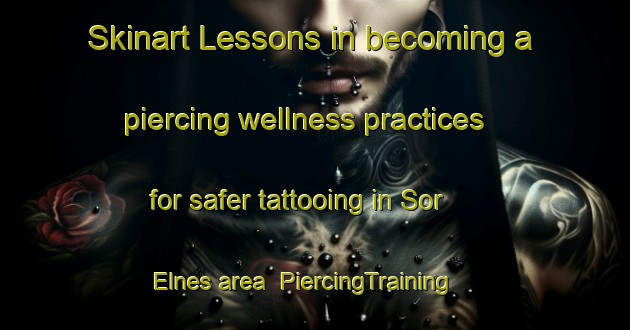 Skinart Lessons in becoming a piercing wellness practices for safer tattooing in Sor Elnes area | PiercingTraining | PiercingClasses | SkinartTraining-Norway