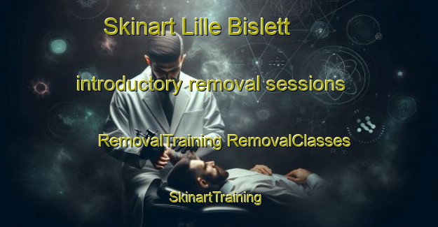 Skinart Lille Bislett introductory removal sessions | #RemovalTraining #RemovalClasses #SkinartTraining-Norway