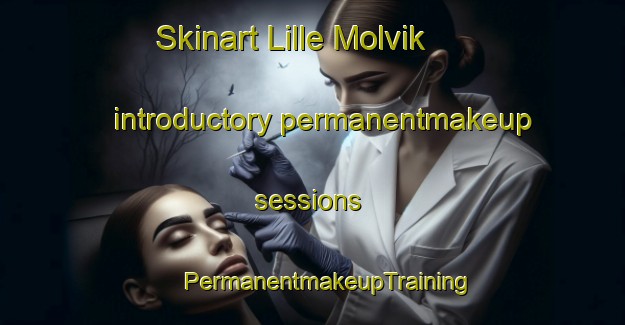 Skinart Lille Molvik introductory permanentmakeup sessions | #PermanentmakeupTraining #PermanentmakeupClasses #SkinartTraining-Norway