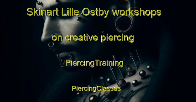 Skinart Lille Ostby workshops on creative piercing | PiercingTraining | PiercingClasses | SkinartTraining-Norway