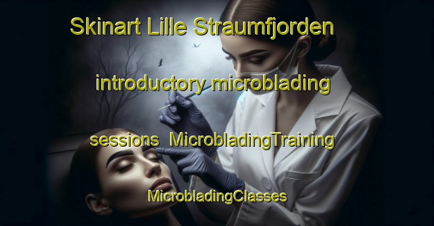 Skinart Lille Straumfjorden introductory microblading sessions | #MicrobladingTraining #MicrobladingClasses #SkinartTraining-Norway