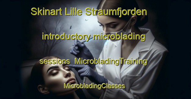 Skinart Lille Straumfjorden introductory microblading sessions | MicrobladingTraining | MicrobladingClasses | SkinartTraining-Norway
