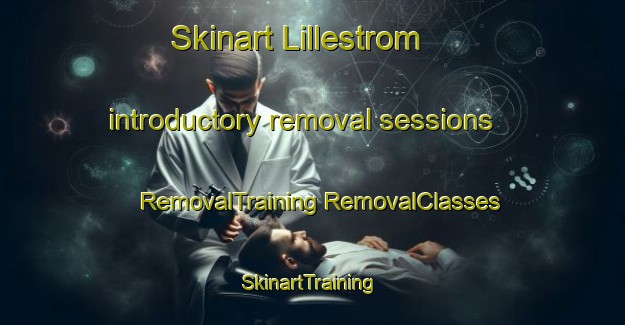 Skinart Lillestrom introductory removal sessions | #RemovalTraining #RemovalClasses #SkinartTraining-Norway