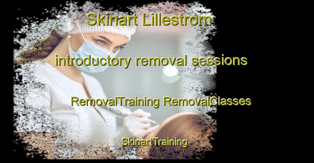 Skinart Lillestrom introductory removal sessions | #RemovalTraining #RemovalClasses #SkinartTraining-Norway