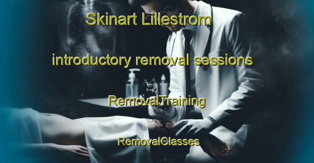 Skinart Lillestrom introductory removal sessions | RemovalTraining | RemovalClasses | SkinartTraining-Norway