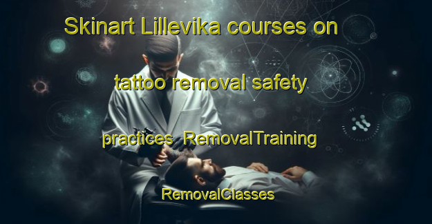 Skinart Lillevika courses on tattoo removal safety practices | RemovalTraining | RemovalClasses | SkinartTraining-Norway
