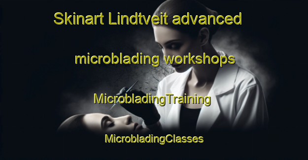 Skinart Lindtveit advanced microblading workshops | #MicrobladingTraining #MicrobladingClasses #SkinartTraining-Norway