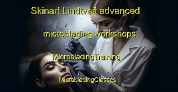 Skinart Lindtveit advanced microblading workshops | MicrobladingTraining | MicrobladingClasses | SkinartTraining-Norway