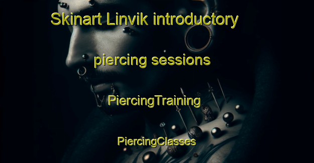 Skinart Linvik introductory piercing sessions | #PiercingTraining #PiercingClasses #SkinartTraining-Norway