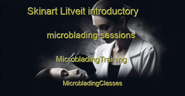 Skinart Litveit introductory microblading sessions | #MicrobladingTraining #MicrobladingClasses #SkinartTraining-Norway