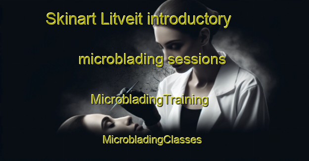 Skinart Litveit introductory microblading sessions | MicrobladingTraining | MicrobladingClasses | SkinartTraining-Norway