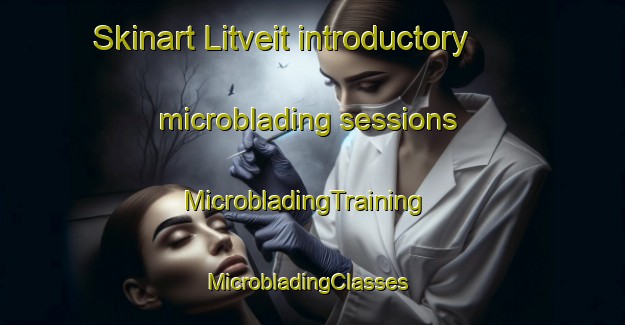 Skinart Litveit introductory microblading sessions | MicrobladingTraining | MicrobladingClasses | SkinartTraining-Norway