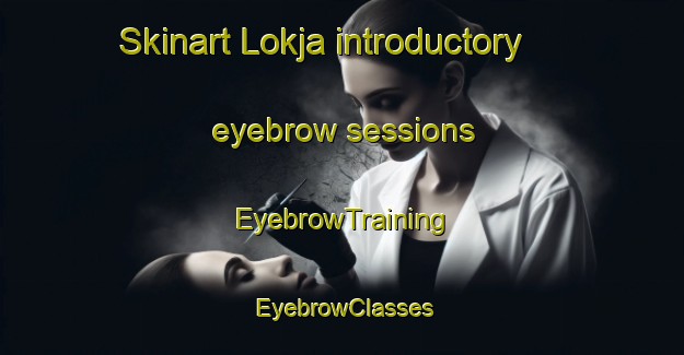 Skinart Lokja introductory eyebrow sessions | EyebrowTraining | EyebrowClasses | SkinartTraining-Norway