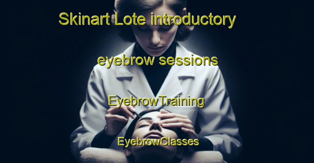 Skinart Lote introductory eyebrow sessions | EyebrowTraining | EyebrowClasses | SkinartTraining-Norway