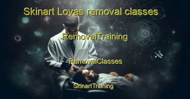 Skinart Lovas removal classes | RemovalTraining | RemovalClasses | SkinartTraining-Norway