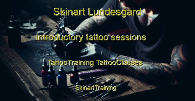 Skinart Lundesgard introductory tattoo sessions | #TattooTraining #TattooClasses #SkinartTraining-Norway