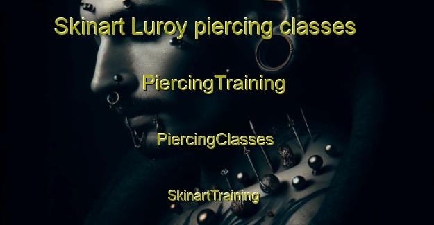 Skinart Luroy piercing classes | #PiercingTraining #PiercingClasses #SkinartTraining-Norway