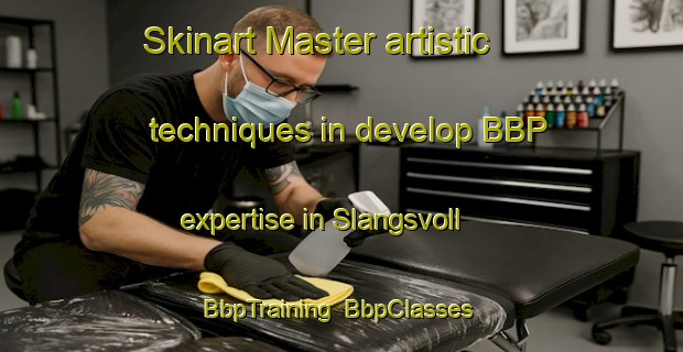 Skinart Master artistic techniques in develop BBP expertise in Slangsvoll | BbpTraining | BbpClasses | SkinartTraining-Norway