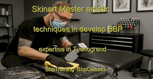 Skinart Master artistic techniques in develop BBP expertise in Tveitogrend | BbpTraining | BbpClasses | SkinartTraining-Norway