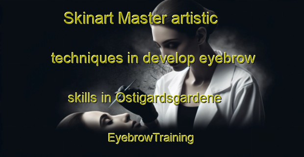 Skinart Master artistic techniques in develop eyebrow skills in Ostigardsgardene | EyebrowTraining | EyebrowClasses | SkinartTraining-Norway