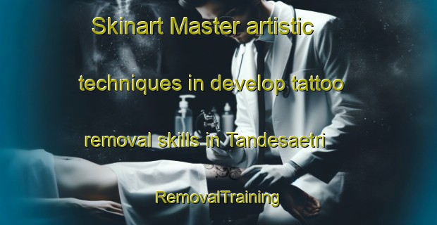 Skinart Master artistic techniques in develop tattoo removal skills in Tandesaetri | RemovalTraining | RemovalClasses | SkinartTraining-Norway