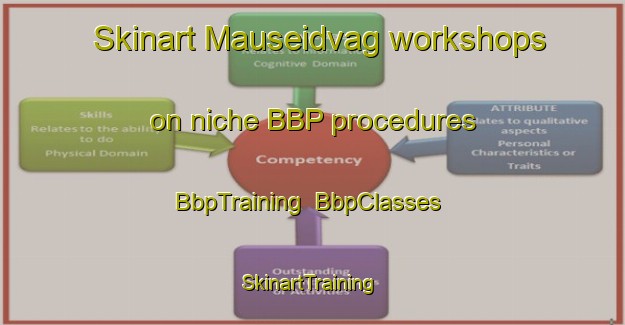Skinart Mauseidvag workshops on niche BBP procedures | BbpTraining | BbpClasses | SkinartTraining-Norway