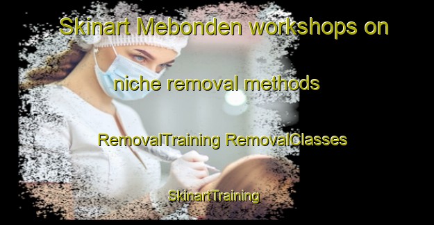 Skinart Mebonden workshops on niche removal methods | #RemovalTraining #RemovalClasses #SkinartTraining-Norway