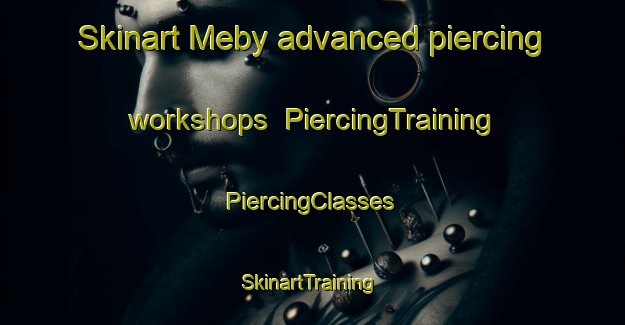 Skinart Meby advanced piercing workshops | #PiercingTraining #PiercingClasses #SkinartTraining-Norway